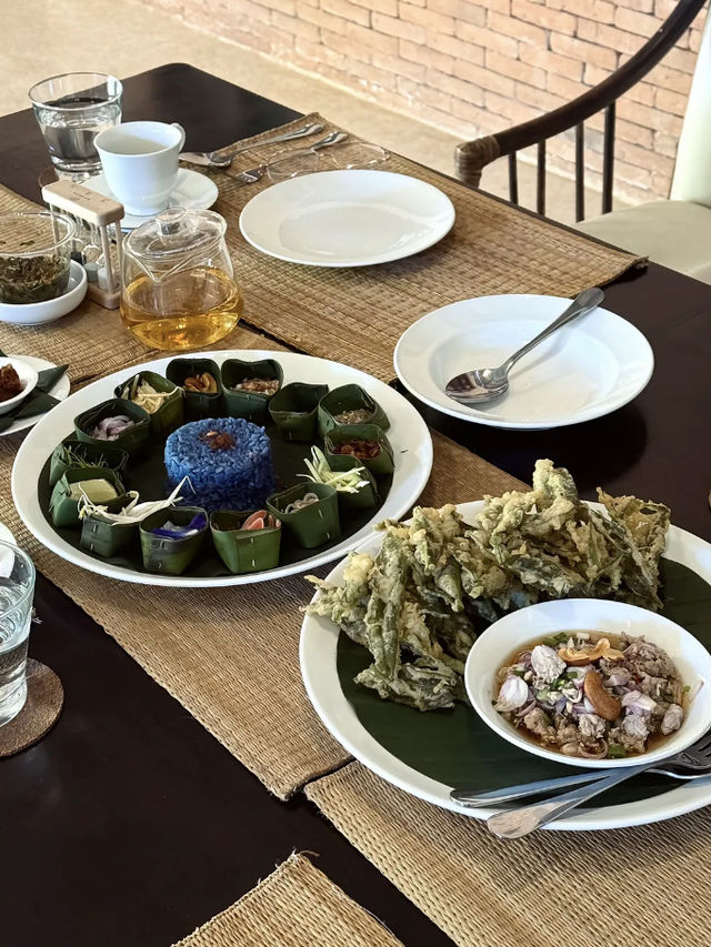Araksa Tea Garden - Chiangmai Thailand 
