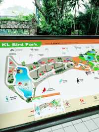 “Summer Bliss at KL Bird Park: Nature, Dining & Souvenirs Await” 