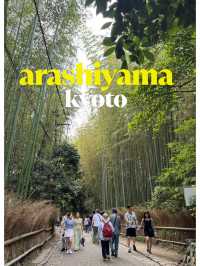 🎋 ป่าไผ่อาราชิยาม่า – ทางเดินเล็ก ๆ ที่พาหัวใจไปไ