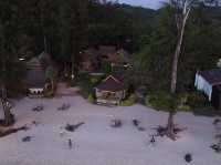 Peter Pan Resort Koh Kood
