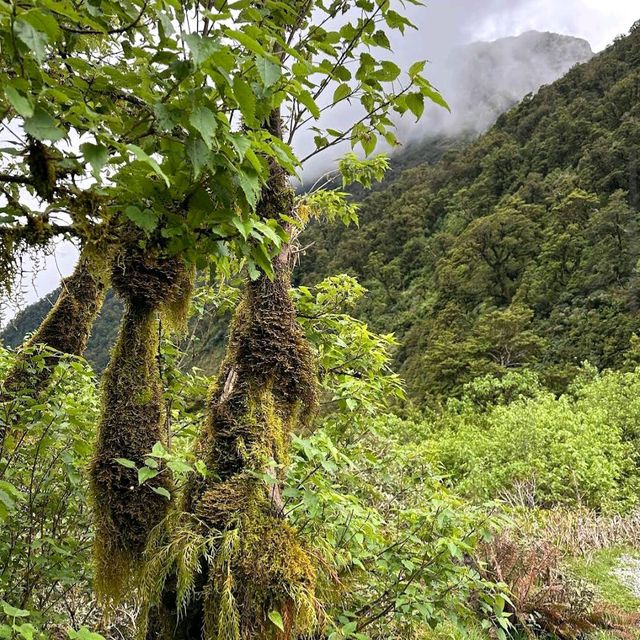 Doubtful Sound