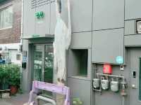 Strolling around Ihwa Mural Village and Naksan Park