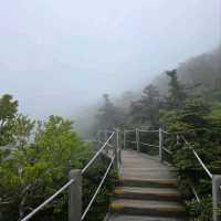 1950m of Sweat, Clouds, and Total Wow