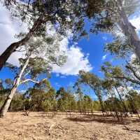 Perth, Western Australia Hiking Recommendation: Walyunga National Park! 🌳🚶‍♀️