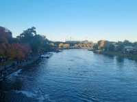 Sorry Melbournians, but Brisbane coffee is better 