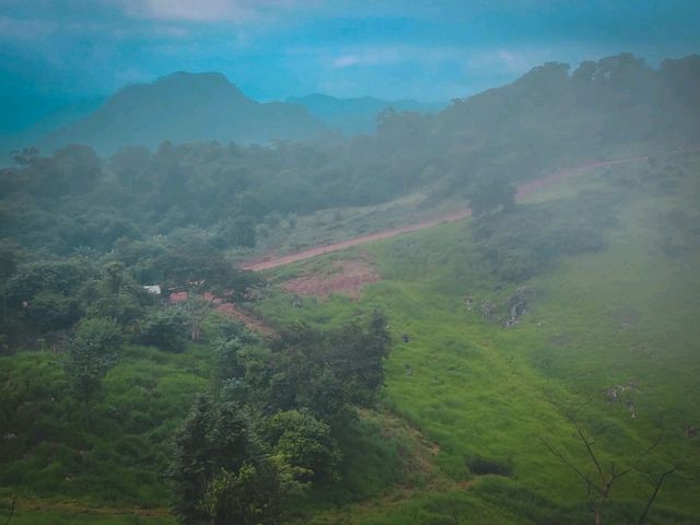 🌧️⛺️ ไร่ฝนเทียม – กางเต็นท์หน้าฝน