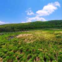 Korea's First Ramsar Wetland