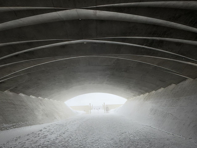 A Silent Giant in the Snow: Winter at Hokkaido’s Hill of the Buddha