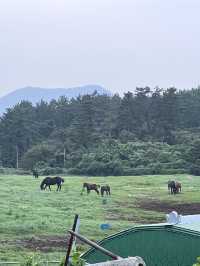 제주도 문도지오름 🌋🚘