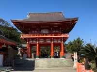 🌊 Udo Jingu – A Serene Cliffside Shrine by the Sea