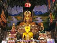 วัดท่ามะกอก อุโบสถเรือนารายณ์ทรงสุบรรณสีทอง