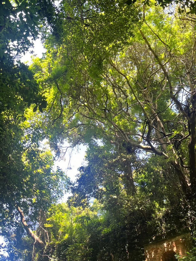 幻想の島 猿島