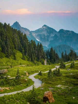 Mount Rainier 