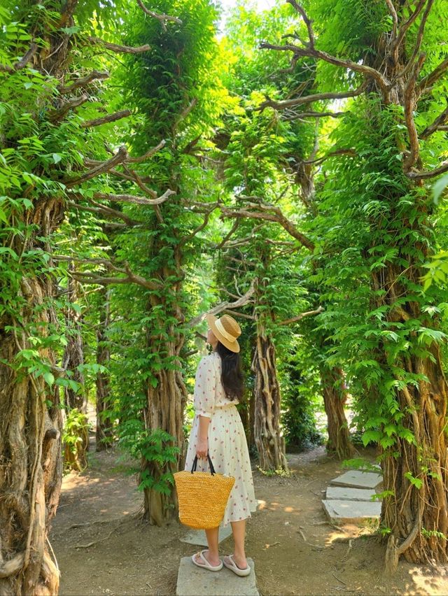 공원 가득 초록을 느낄수 있는 세종여행지💚