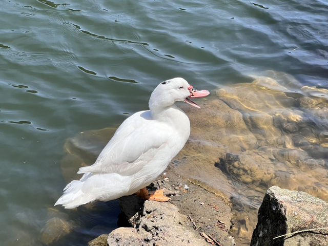 台灣基隆市情人湖公園