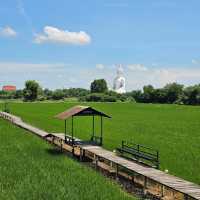 🍀นั่งชิล ชมทุ่งนา ที่ มะขามคาเฟ่ | อ่างทอง 🌿