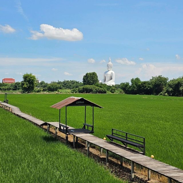 🍀นั่งชิล ชมทุ่งนา ที่ มะขามคาเฟ่ | อ่างทอง 🌿