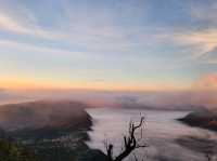 Bromo Volcano: An Unforgettable Encounter with Nature’s Power 🌋