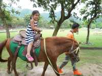 Alpaca Hill อ. สวนผึ้ง จ. ราชบุรี