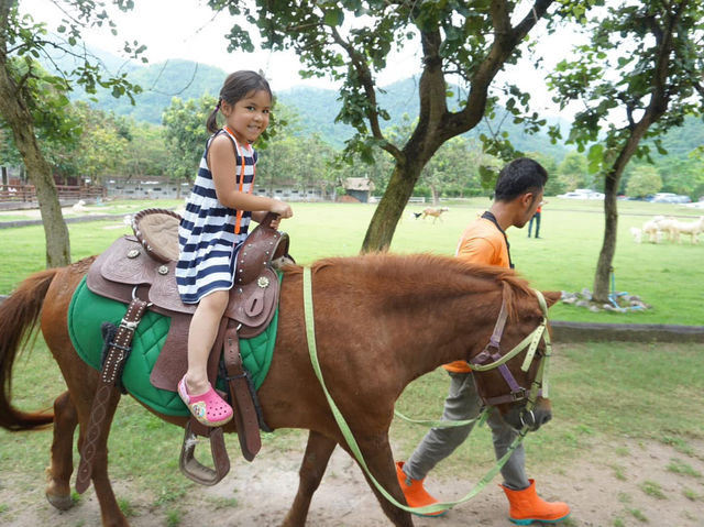 Alpaca Hill อ. สวนผึ้ง จ. ราชบุรี