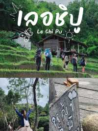 Le Chi Pu HomeStay