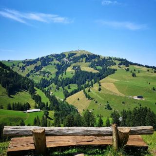 🏔️✨ Summer Weekend at Mount Rigi: Queen of the Mountains 