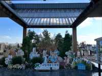 Green Escape at Sejong National Arboretum