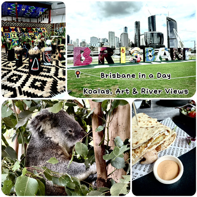 📍Brisbane in a Day: Koalas, Art & River