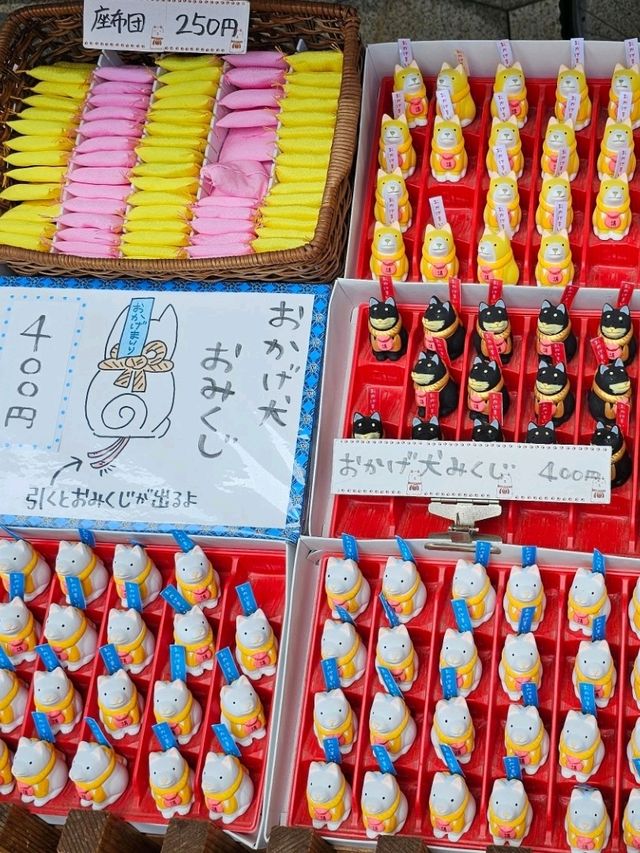 到伊勢帶吉祥犬回家吧！
