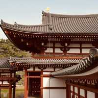 🕊️ Byōdō-in Summer Survival Guide