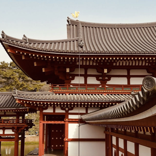 🕊️ Byōdō-in Summer Survival Guide