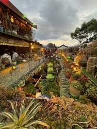 Lijiang Ancient City – A Charming Heritage Town Worth Exploring