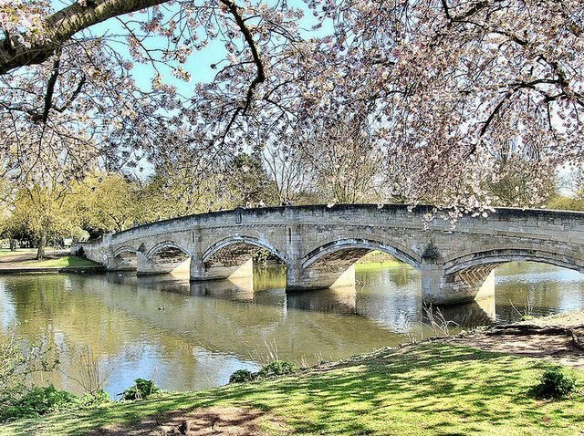 🌿 Peaceful Stroll Through Abbey Park