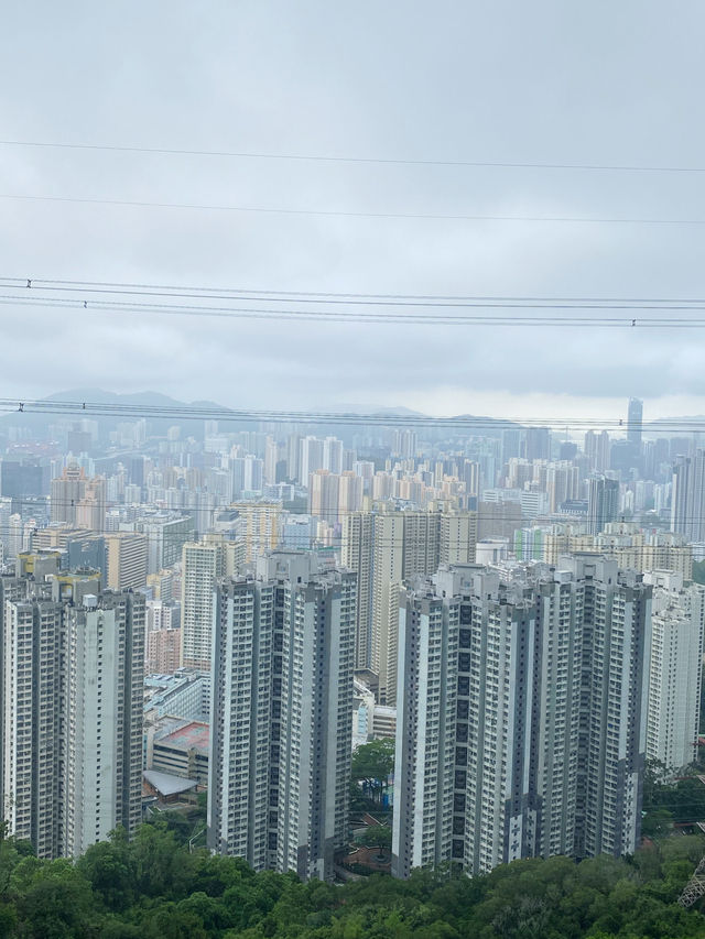 香港｜麥徑六段：馬騮山🐒——城門水塘
