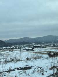 12月嘅觀雪之旅