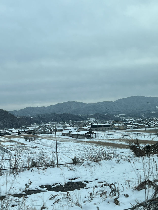 12月嘅觀雪之旅