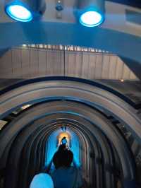 Starlit Osaka: A Night at Umeda Sky Building