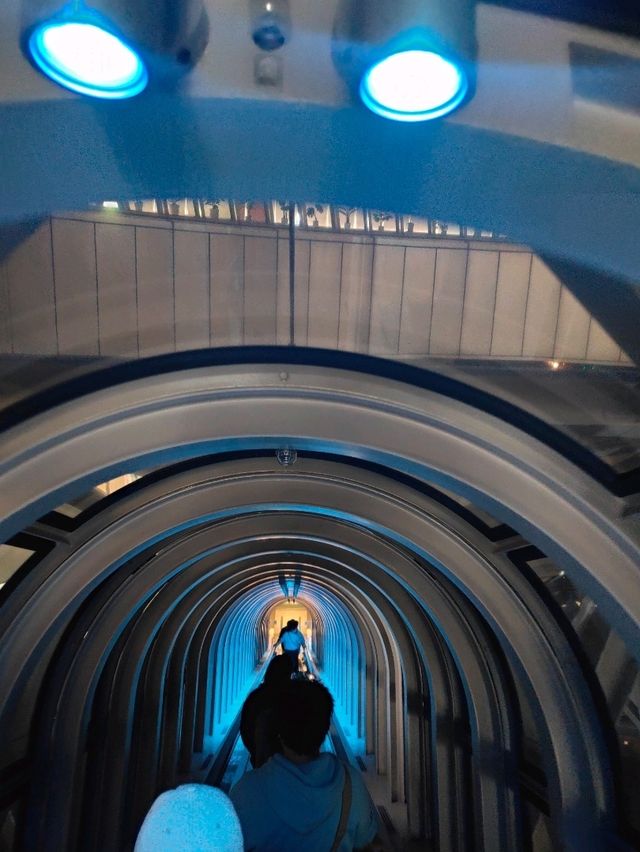 Starlit Osaka: A Night at Umeda Sky Building