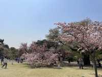 東京復活節行程