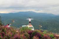 ดาลัด (เวียดนาม) เมืองแห่งดองไม้