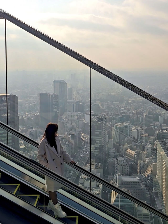 Tokyo Highlights: Crossing Moments & Skyline Dreams