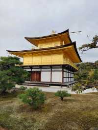 Kyoto's Golden Spell: A Morning Walk Around Kinkaku-ji