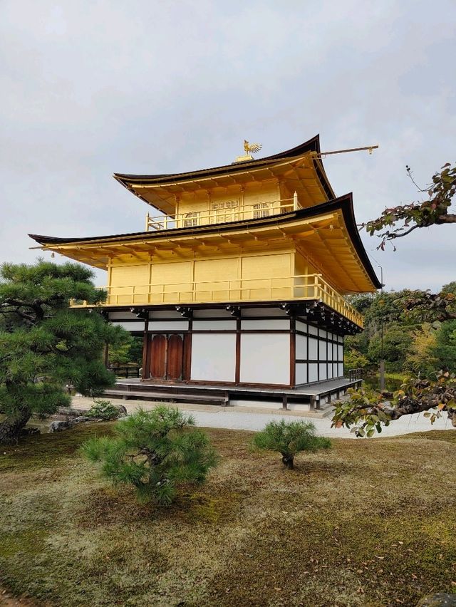 Kyoto's Golden Spell: A Morning Walk Around Kinkaku-ji