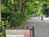 本地人最愛的綠意漫步地——金澤城公園 🌳