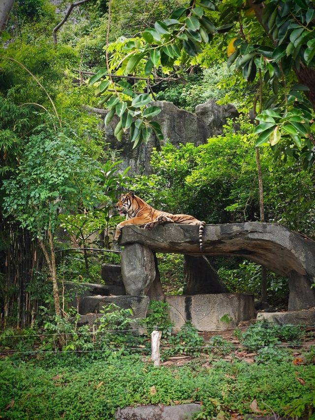 Attractions to visit in Khao Kheow Open Zoo