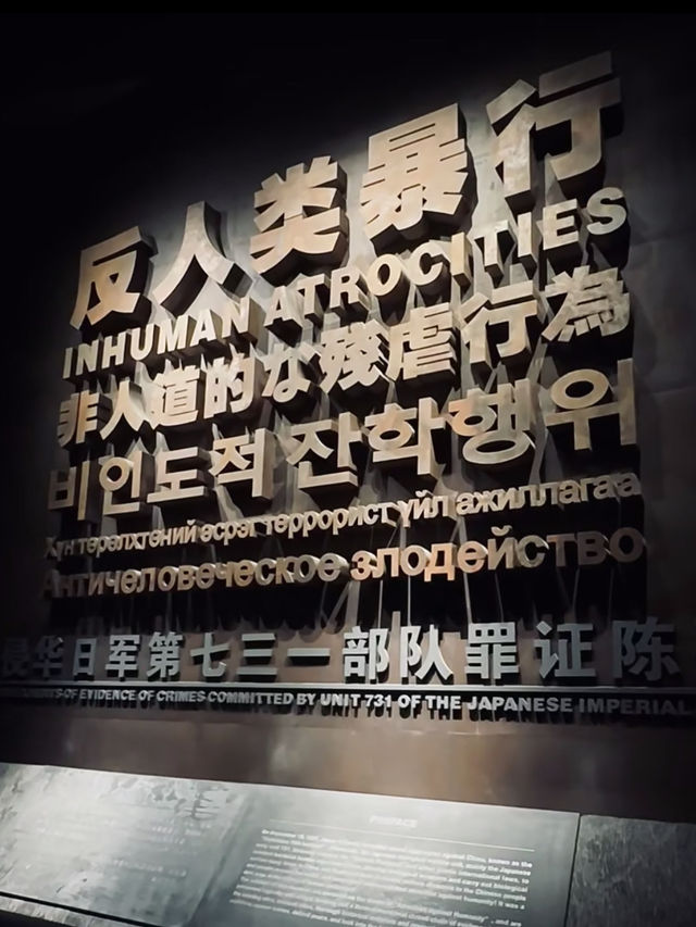 ❄️ 黑龍江六天五夜in冰雪童話