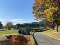 비전힐스CC (Vision Hills CC) – 남양주 주중 퍼블릭 명품 코스 후기