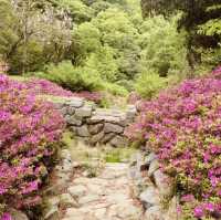 Hwangnyeongsan Mountain Beacon Mound, Busan: The Pinnacle of City Night Views