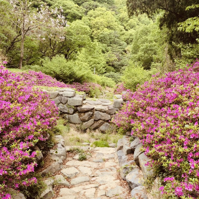 Hwangnyeongsan Mountain Beacon Mound, Busan: The Pinnacle of City Night Views