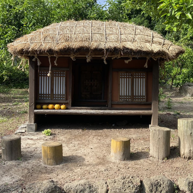 Summer Serenity: Discovering Jeju's Traditional Charm